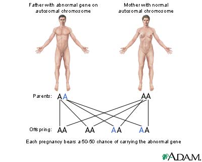 Autosomal dominant genes