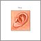 Pinna of the newborn ear